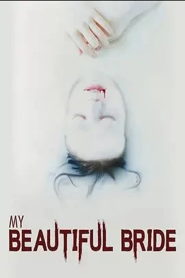 我美丽的新娘海报