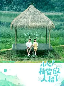 小心!我要放大招了海报