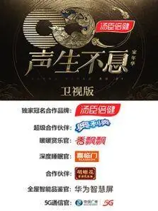 声生不息·家年华卫视版海报