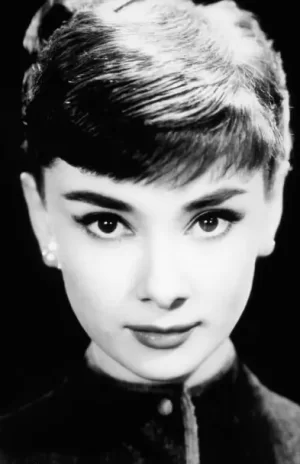 寻觅奥黛丽赫本海报