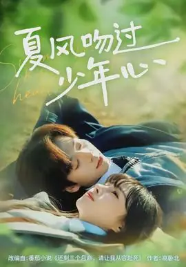夏风吻过少年心海报