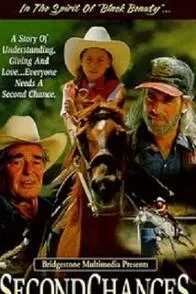 第二次机会海报