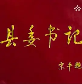 县委书记海报