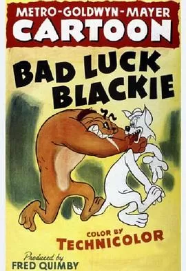 厄运小黑猫[电影解说]海报