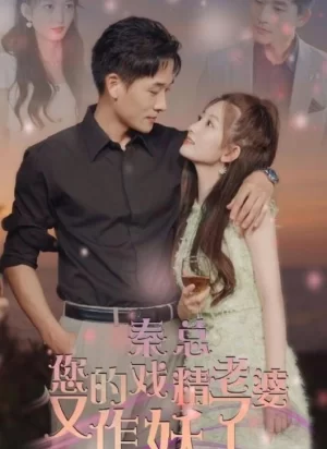 秦总您的戏精老婆又作妖了海报