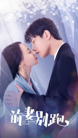 前妻别跑第一季海报