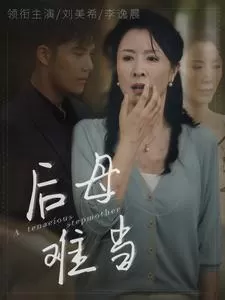 后母难当海报