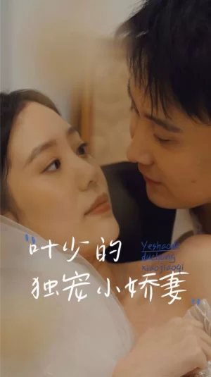 叶少的独宠小娇妻海报