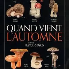 秋日何时来海报