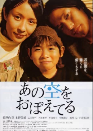 还记得那片天空海报