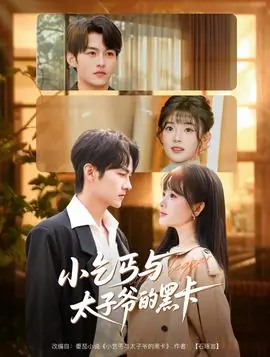 小乞丐与太子爷的黑卡海报