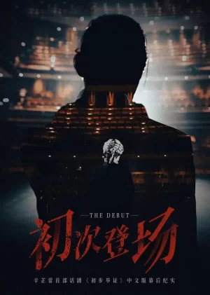 初次登场海报