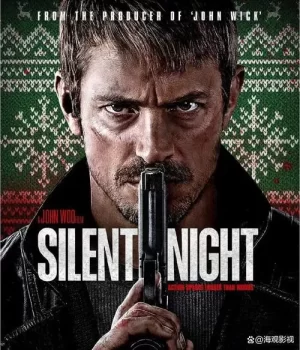 沉默的夜晚[影视解说]海报