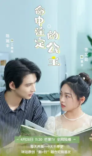 命中注定的公主海报