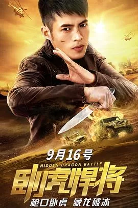 卧虎悍将[电影解说]海报