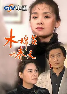 木棉花的春天海报