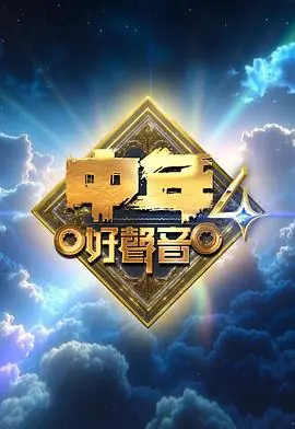 中年好声音4海报