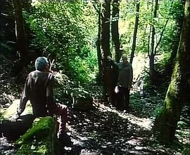 阿蒂米德的膝盖海报