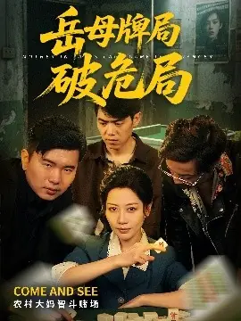 岳母牌局破危局海报