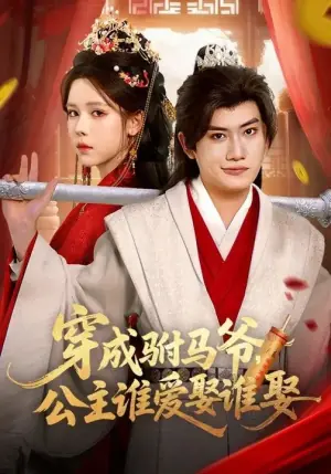 穿成驸马爷,公主谁爱娶谁娶海报