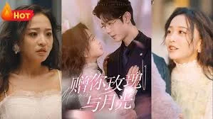 赠你玫瑰与月光海报