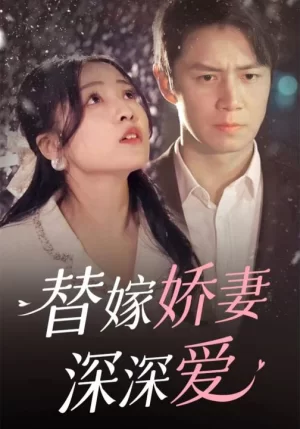 替嫁娇妻深深爱海报