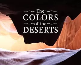 沙漠的颜色海报
