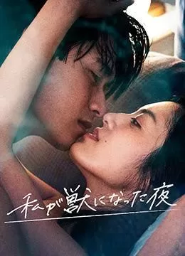 我放纵情欲的夜晚海报