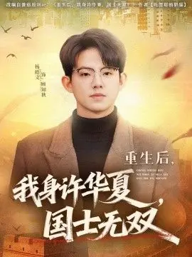 重生后,我身许华夏,国士无双海报