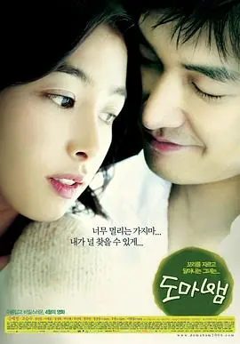 蜥蜴도마뱀海报