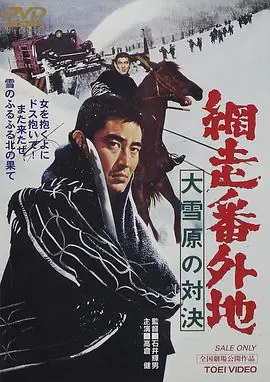 网走番外地:大雪原的对决海报