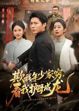 欺我年少家穷,看我护母成龙海报