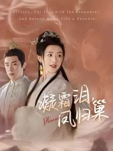 凝霜泪凤归巢海报