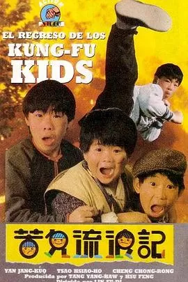 好小子3:苦儿流浪记海报