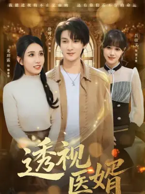 透视医婿海报