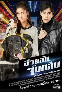 侦探K9普(国语)海报