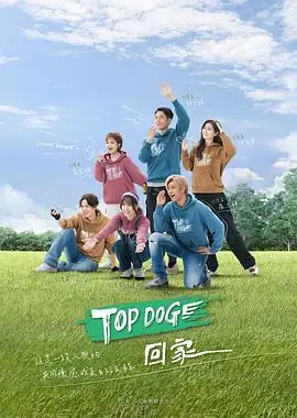 TOPDOG海报
