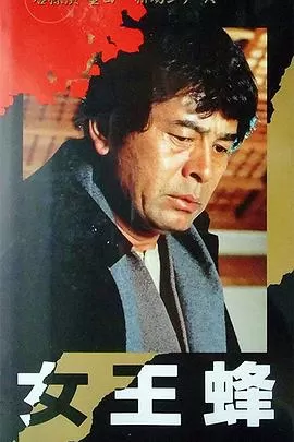 金田一耕助系列[女王蜂]海报