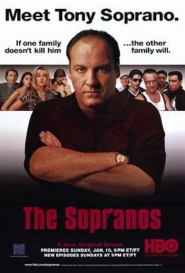 黑道家族第一季TheSopranosSeason1[电影解说]海报