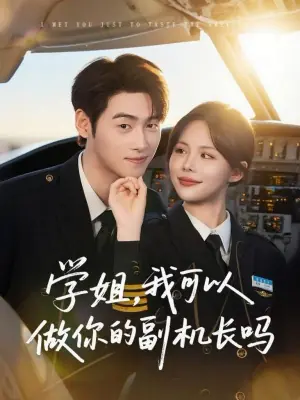 学姐,我可以做你的副机长吗海报