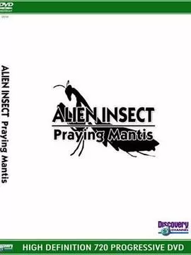 异形昆虫:螳螂海报