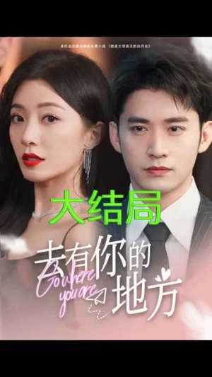去有你的地方海报