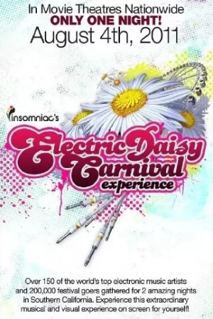 电音雏菊嘉年华体验海报