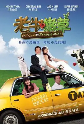 老牛与嫩草海报
