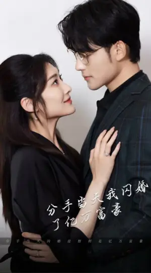 分手当天,我闪婚了亿万富豪海报