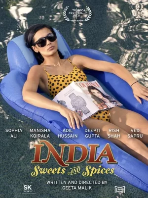 印度糖果和香料海报