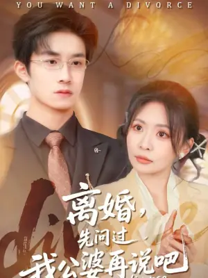 离婚,先问过我公婆再说吧海报