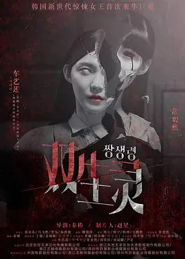 双生灵海报