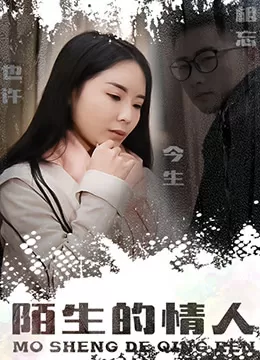 陌生的情人海报