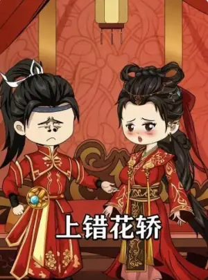 上错花轿海报